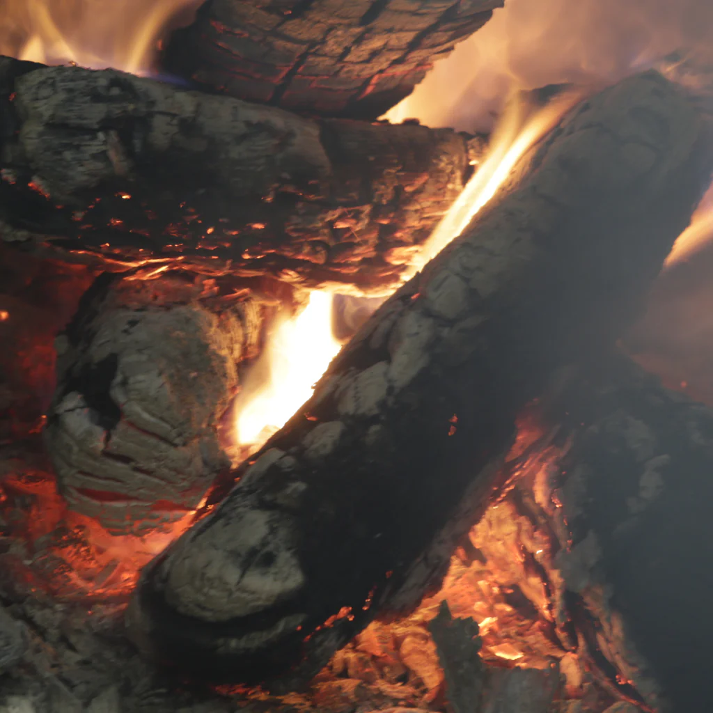 Pork Shoulder Packages - Image 3